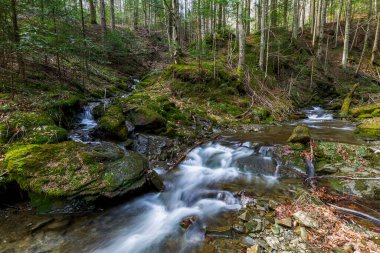 Saf doğa kavramı. Su üzerinde kristal berrak su ve güneş ışığı olan güzel bir şelale. Nehir, ilkel ormandaki kayaların üzerinden akar. Duvar kağıtları için şelale. Uzun pozlama..