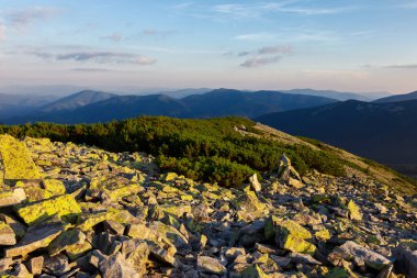 Gorgany bölgesinin kayalık çıkıntılarıyla Karpat Dağları 'nda büyülü yaz günbatımı. Dağlarda, dağın kayalık yüzeyinde gün batımını canlandırın. Canlı bir duvar kağıdı.