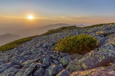 Karpat dağlarında, Gorgan bölgesinin kayalık çıkıntıları üzerinde büyülü bir yaz günbatımı. Dağlarda, dağın kayalık yüzeyinde gün batımını canlandırın. Canlı fotoğraf duvar kağıtları