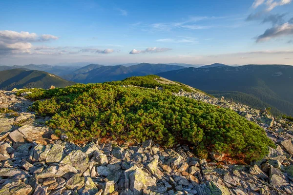 Magico Tramonto Estivo Sulle Montagne Dei Carpazi Con Oltre Gli — Foto Stock