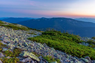 Gorgany bölgesinin kayalık çıkıntılarıyla Karpat Dağları 'nda büyülü yaz günbatımı. Dağlarda, dağın kayalık yüzeyinde gün batımını canlandırın. Canlı bir duvar kağıdı.