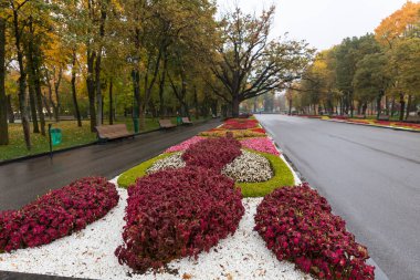 Kharkiv şehri, Ukrayna - 20 Ekim 2025: T.G. Shevchenko şehir parkı