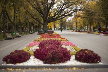 Kharkiv şehri, Ukrayna - 20 Ekim 2025: T.G. Shevchenko şehir parkı