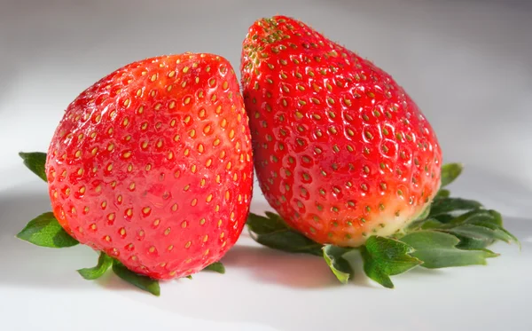딸기의 2 개의 열매 — 스톡 사진