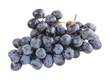 siyah üzüm Şubesi