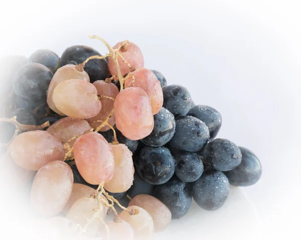 Trauben mit Wassertropfen — Stockfoto