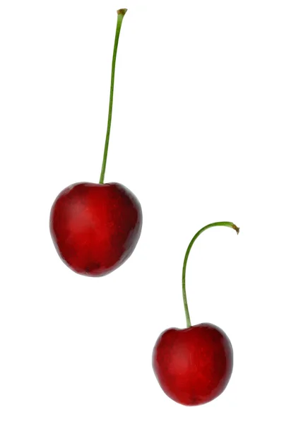 Two berries of sweet cherry — Stock Photo, Image