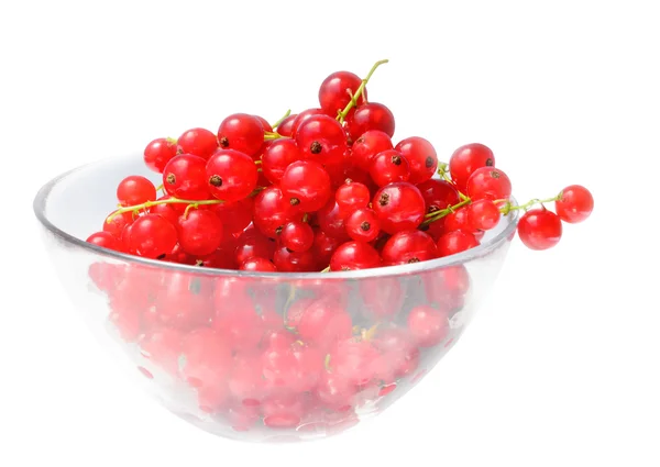 Beeren von roten Johannisbeeren — Stockfoto