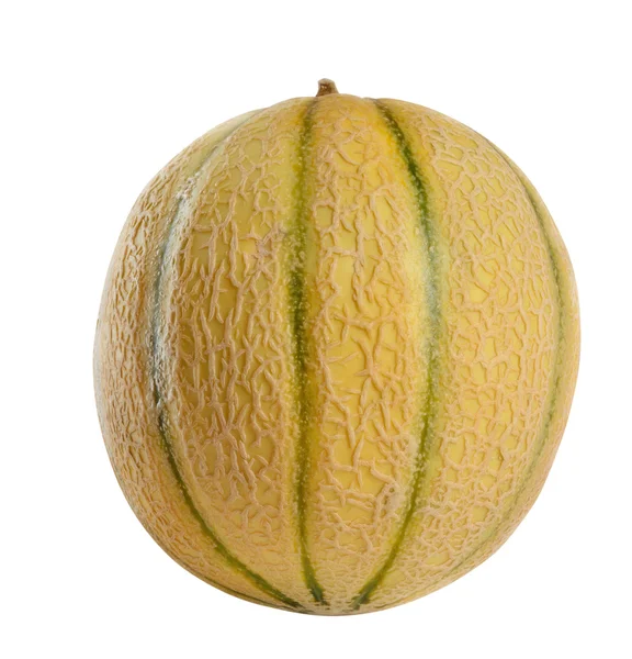 The whole melon with strips — Stock Photo, Image