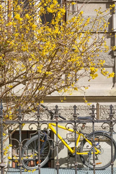 Pencerelerin altında sarı bisiklet çiçek açan formatın yanında, dikey format