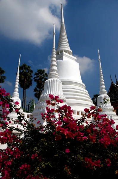 Ayutthaya, Tailandia: White Chedis en Wat Suwan Dararam — Foto de Stock