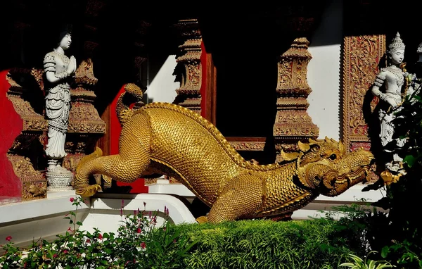 Chiang Mai, Thailand: Dragon at Wat Bupparam — Stock Photo, Image