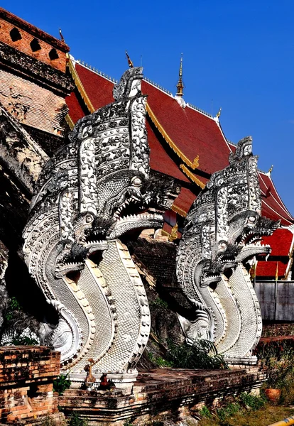 Chiang Mai,Thailalnd: Nagas at Wat Chedi Luang — Stock Photo, Image