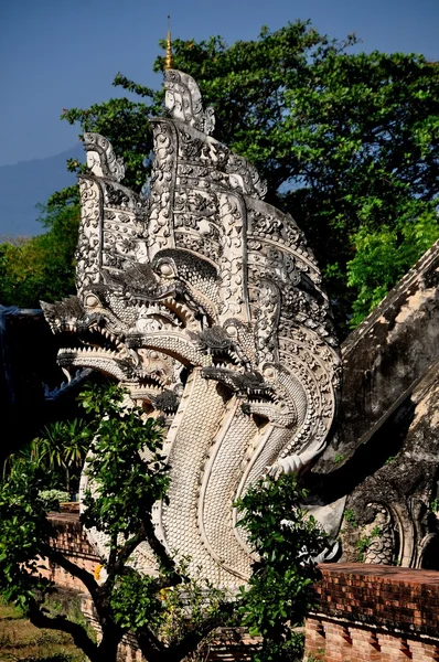 Chiang Mai,Thailand: Wat Chedi Luang Nagas — Stock Photo, Image