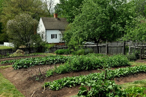 Old Salem, NC: Miksch huis koloniale tuin — Stockfoto