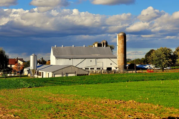 Condado de Lancaster, PA: Amish Farm — Foto de Stock