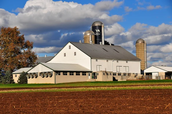 Comté de Lancaster, PA : Amish Cattle Barn and Silos — Photo