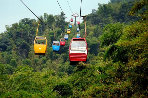 Yi Bin, China: Teleféricos en el bosque de bambú —  Fotos de Stock