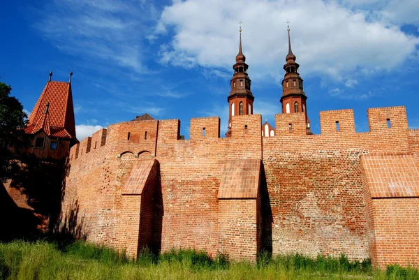 Opole, Polen: middeleeuwse muren en Heilige Kruis kathedraal — Stockfoto