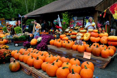 Deerfield, ma: kabak, yol kenarındaki farmstand
