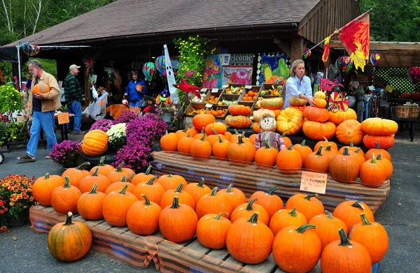 Deerfield, ma: mensen winkelen voor pompoenen — Stockfoto