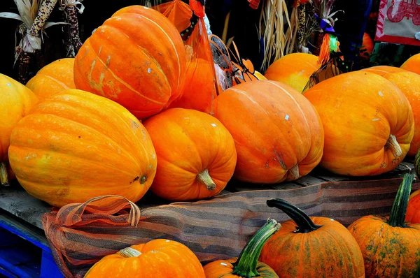 Deerfield, MA:  Pumpkins at Farmstand — Stock Photo, Image