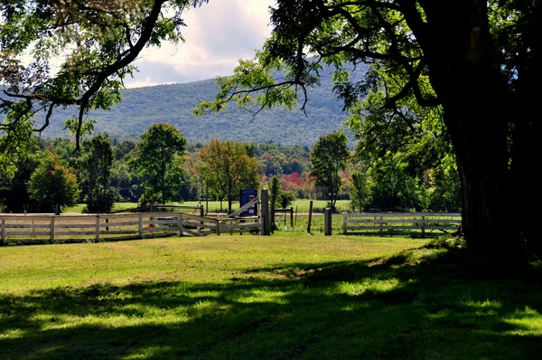 Hancock, MA: Forest Trail and Meadows at Shaker Village — Stock Photo, Image