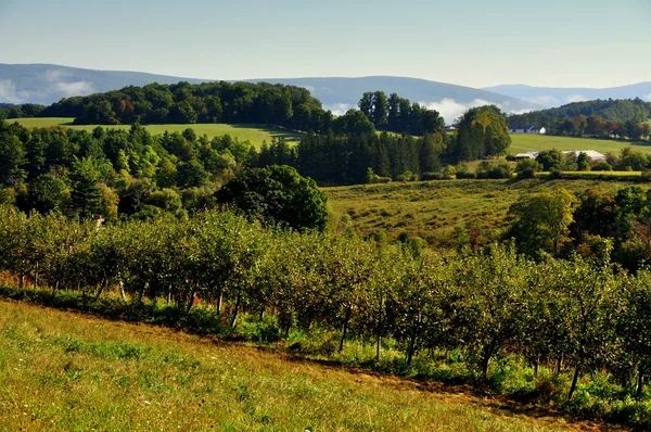 Orchards and Farmlands in Williamstown, MA — Stock Photo, Image