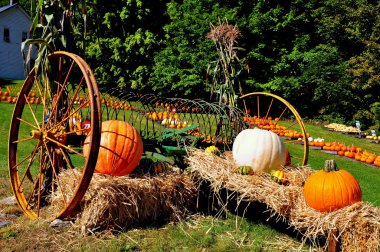 Pownal, Vermont: Kabak ekrana yol kenarı Farmstand