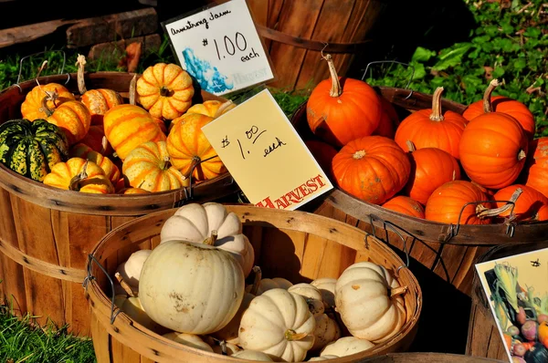 Pownal, Vermont: Baskets of Gourds and Pumpkins — Stock Photo, Image