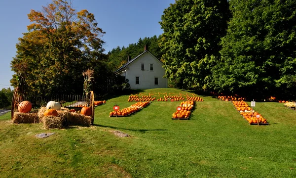 Pownal, Vermont: Exposições de abóbora — Fotografia de Stock