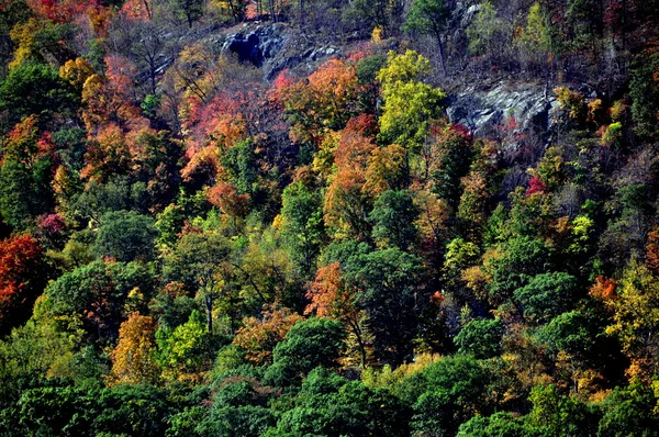 Cold Spring, NY: Colourful Autumn Foliage — Stock Photo, Image