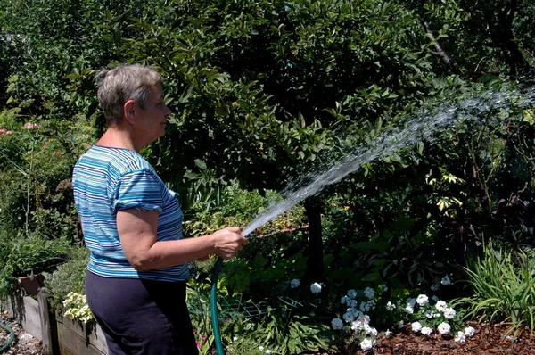 纽约: 女人浇花园 — 图库照片
