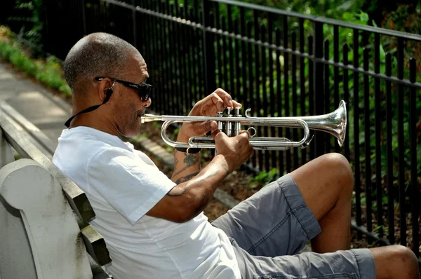 NYC: Man spelen van trompet in Riverside Park — Stockfoto