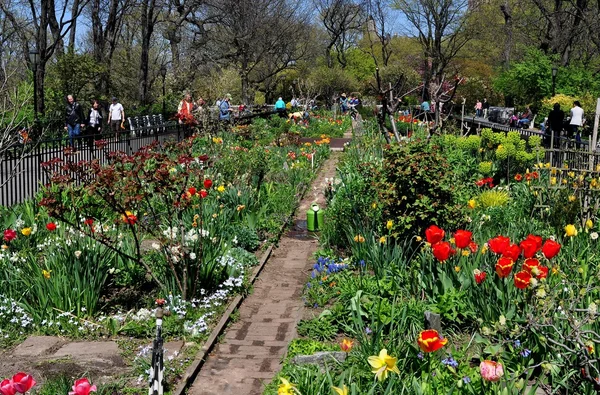 NYC: The People 's Garden in Riverside Park — стоковое фото