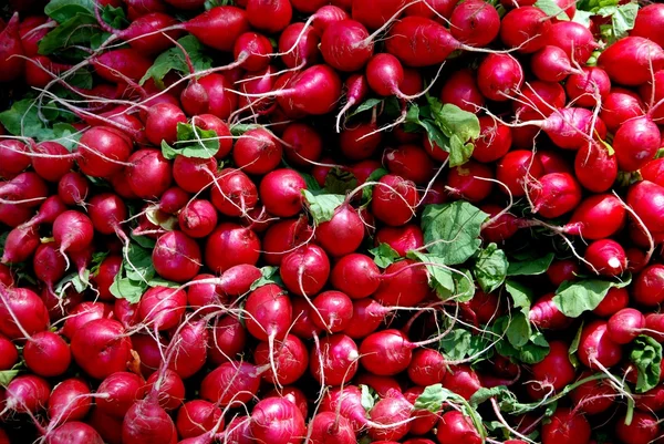 NYC Bunches of Radishes at Farmer 's Market — стоковое фото