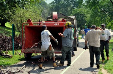 NYC: Park düşmüş ağaçların temizlik işçileri