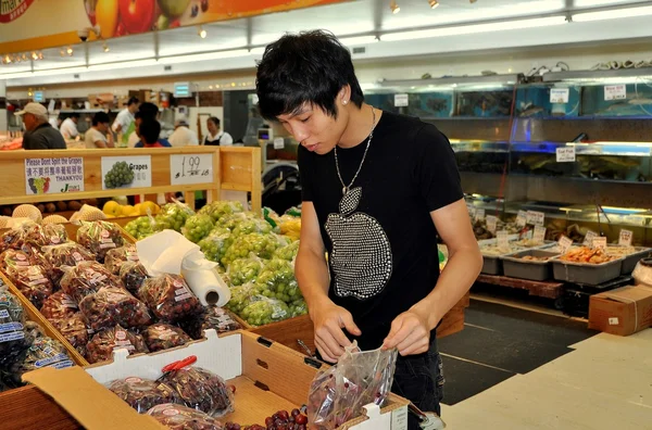 Флеминг, Нью-Йорк: азиатская молодежь собирает виноград — стоковое фото