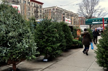 New York City:  Christmas Tree Vending Stand on Broadway clipart