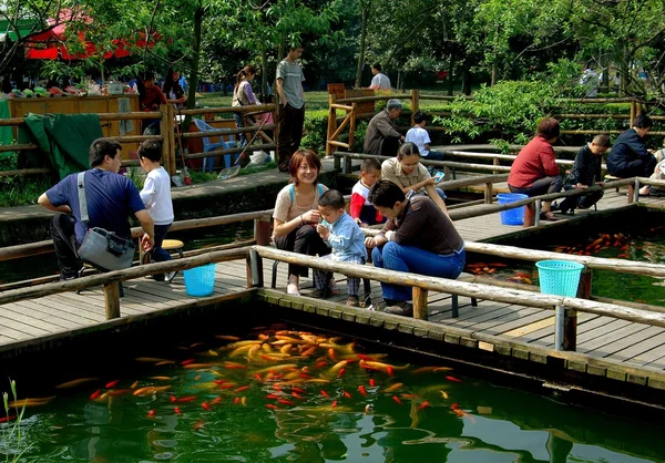 Chengdu, Çin: Aileler balık besleme — Stok fotoğraf