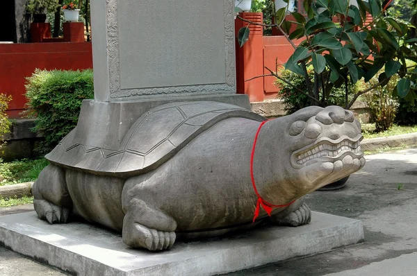 Chengdu, Çin: Taş kaplumbağa Qing Yang Sarayı'nda — Stok fotoğraf