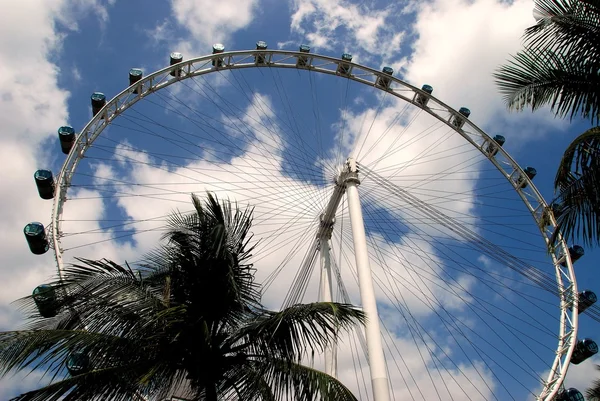 Singapur: Singapore Flyer dönme dolap — Stok fotoğraf