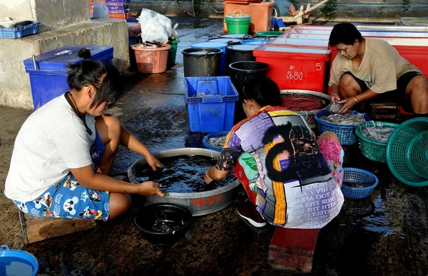Hua Hin, Tailandia: Mujeres limpiando pescado —  Fotos de Stock