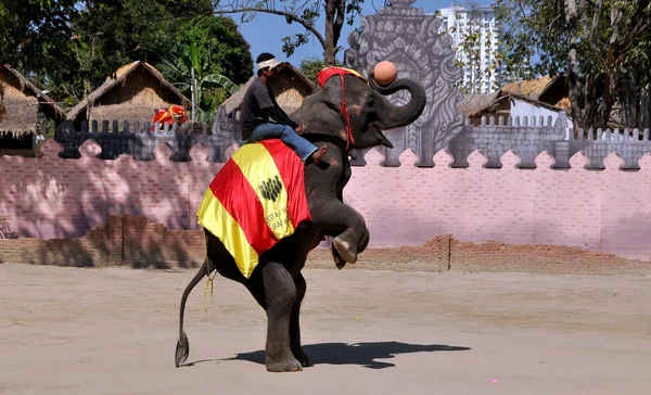 Hua Hin, Thailand: Elephant Village Show — Stock Photo, Image