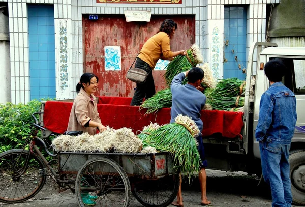 Wan Jia, China: Agricultores con cebollas verdes —  Fotos de Stock