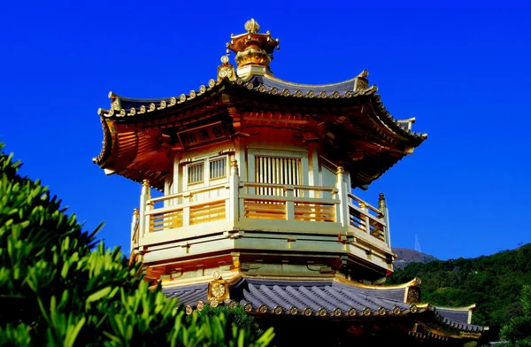 Hong Kong, Kina: Gyllene pagod på Nan Lian Garden — Stockfoto