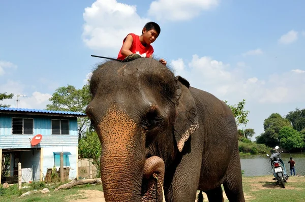Ayutthaya, Thailand: Youth Riding Elephant
