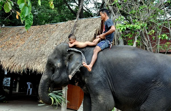 Ayutthaya, Tailândia: Pai e filho montando elefante — Fotografia de Stock