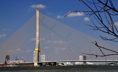 Bangkok, Tayland: Kral Rama VIII Köprüsü