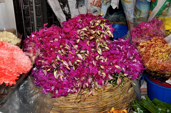 Bangkok, Tailandia: Orquídeas en el mercado de flores — Foto de Stock